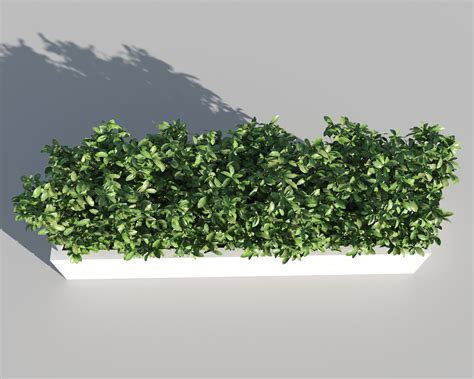 Shrub Rectangular Planter 3d Model