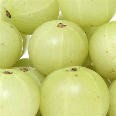 A Grade Pan India Fresh Amla Packaging Size Kg Packaging Type