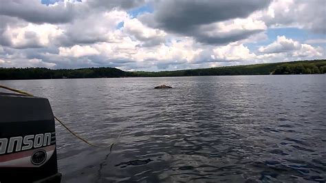 Gretas First Time On A Wakeboard At Beach Pond Youtube