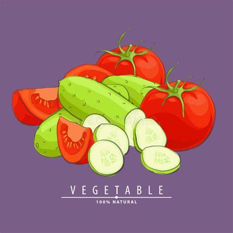 Cucumbers And Tomatoes Stock Vector Illustration Of Plant