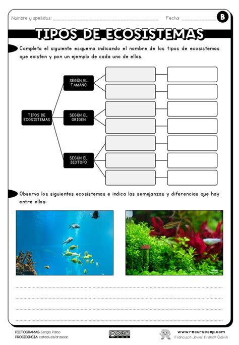 Tipos De Ecosistemas