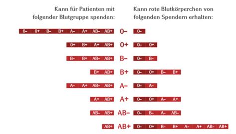 Transfusion Und Blutentnahme Karteikarten Quizlet