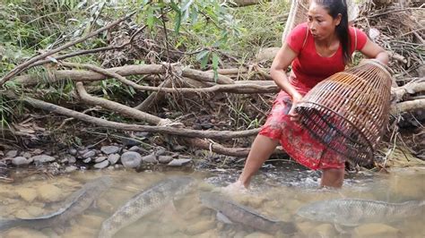 Survival In Forest Women Catch Big Fish In River Cooking Fish With