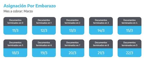 ANSES cuándo cobro qué se paga HOY miércoles 13 de marzo TN