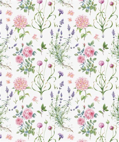 Botanica on Behance