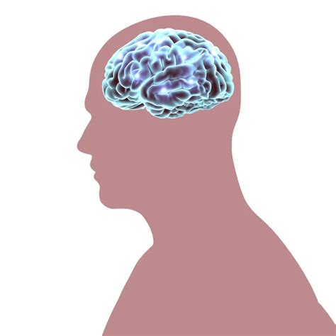 Child Brain Concept — Stock Vector © Krisdog 80197980