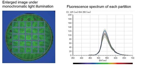 Eem View Cmos Camera Imaging System For Fluorescence