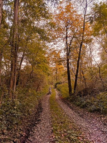 15 Natürliche Herbstbilder Laura Lamprecht