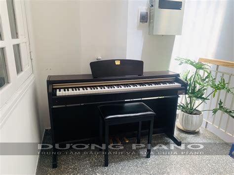 YAMAHA CLP220 | Dương PIANO