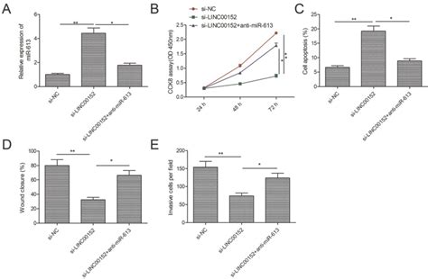 Lncrna Linc00152 Promotes Laryngeal Cancer Progression By Sponging Mir 613