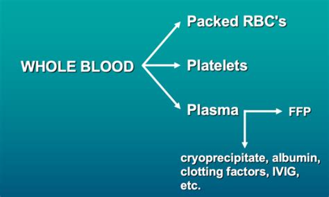 Ih Blood Transfusion Reaction Flashcards Quizlet