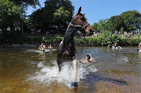 Appleby Horse Fair