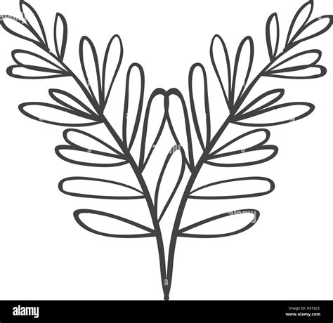 Pair Of Branches With Oval Leaves Stock Vector Image And Art Alamy