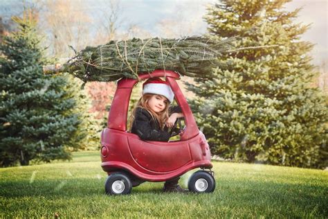 How to Tie a Christmas Tree to the Roof of Your Car - Burnett & Williams