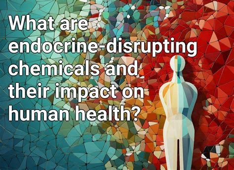 What Are Endocrine Disrupting Chemicals And Their Impact On Human