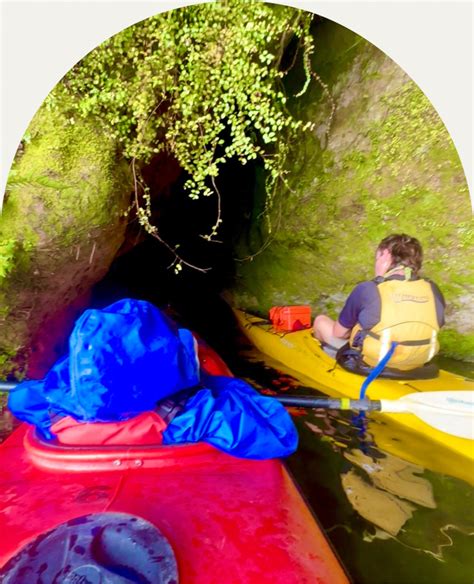 Finding Glowworms In The Caves Of Lake Rotoiti New Zealand Earth By Foot