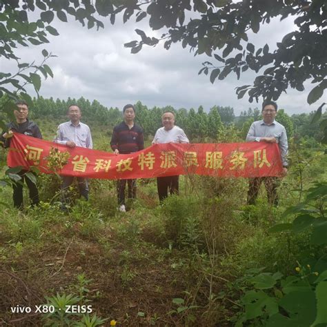 河南省科技特派员赴光山县开展科技服务 信阳农林学院 园艺学院