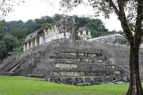 Palenque Archaeological Site from Palenque | GetYourGuide