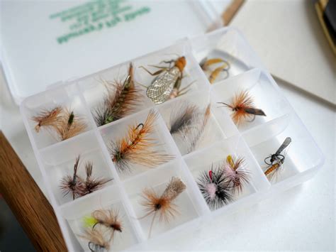 Best Fly Boxes For Fly Fishing Buyer S Guide The Wading List