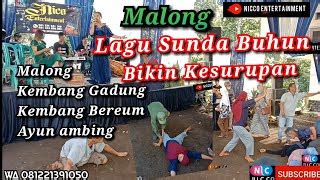 Medley Lagu Sunda Buhun MALONG KEMBANG GADUNG Nico Entertainment Chords