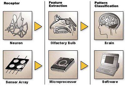 ESA - Electronic nose sniffs hazards