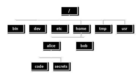 Navigating Files And Directories Introducing The Unix Shell