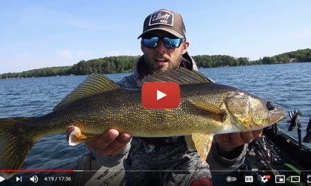 ned rig for walleyes – Target Walleye