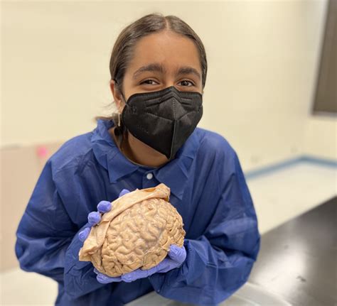 Uc Irvine Summer Brain Camp Registration Now Open Center For The