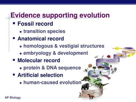 PPT Evidence Of Evolution By Natural Selection PowerPoint