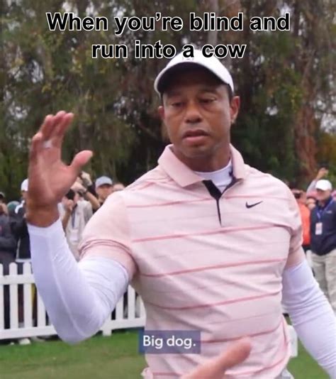 Tiger Woods Big Dog Meme Meme Generator Piñata Farms The Best Meme