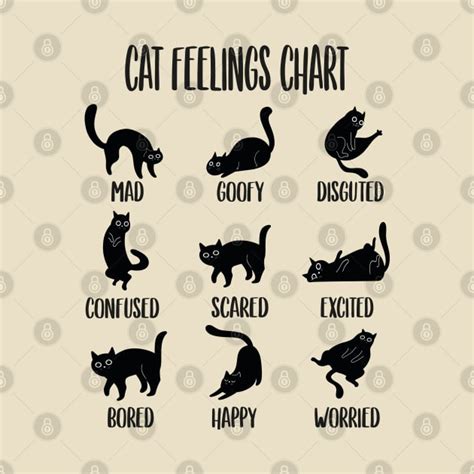 Cat Feelings Chart Cats Body Language Design Cat Lover T Shirt Teepublic