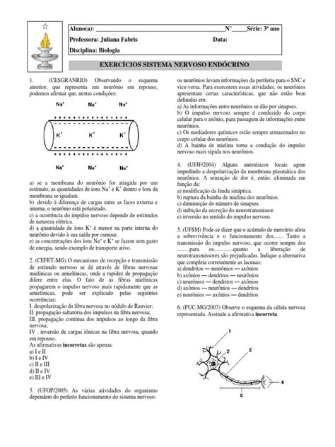 Pdf O Ano Lista Exerc Cios Sistema Nervoso E End Crino Site