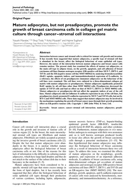 PDF Mature Adipocytes But Not Preadipocytes Promote The Growth Of