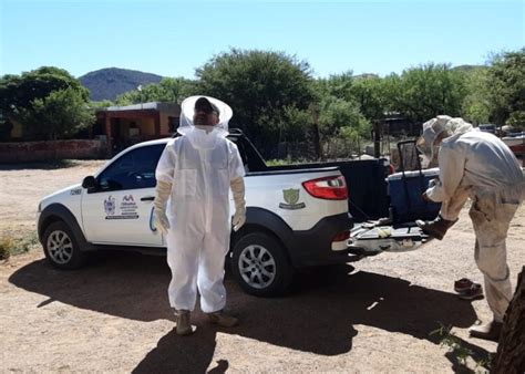 Guardianes Ecológicos aseguran y reubican a poco más de 17 mil abejas