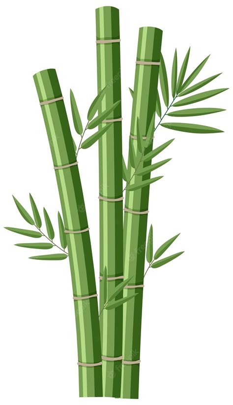 Green Bamboo Tree Clip Art drawing free image download - Clip Art Library