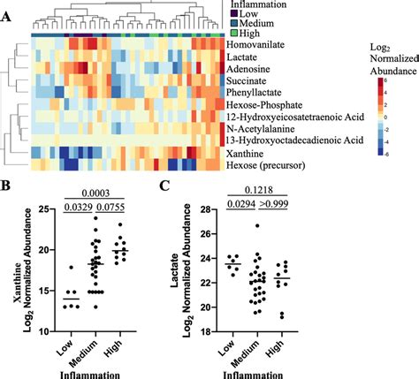 Cervicovaginal Metabolome Differences Between Women With High And Low Download Scientific