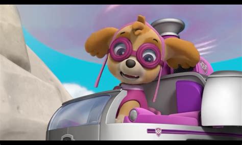 Skye The Cockapoo Paw Patrol Photo 40719567 Fanpop