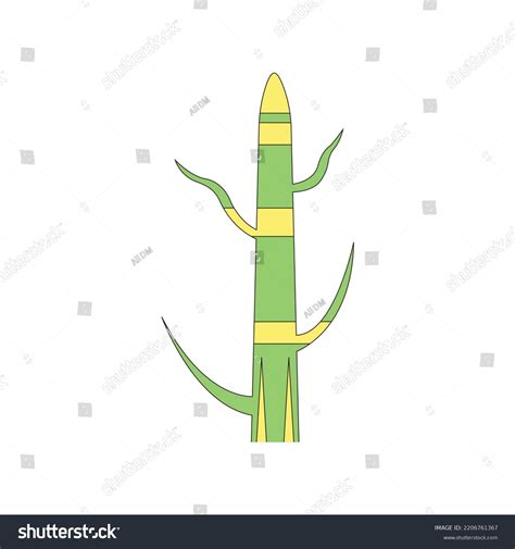 Scientific Designing Meristematic Tissue Tissue Found Stock Vector