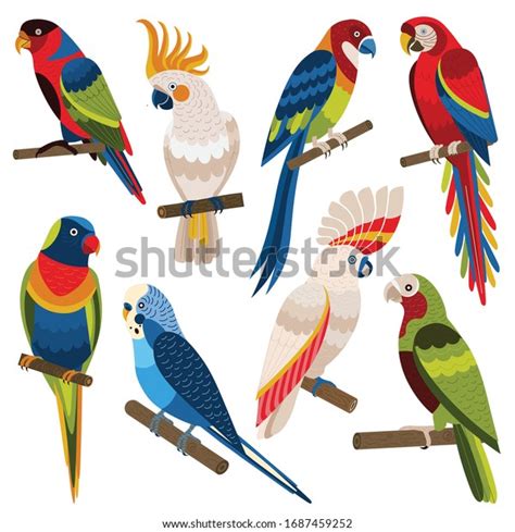 Exotic Parrots Set Including Blackcapped Lory: vetor stock (livre de direitos) 1687459252 ...