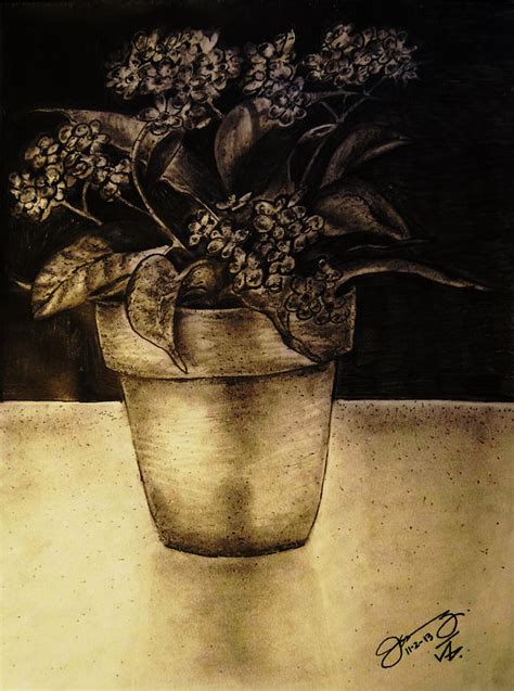 Still Life Flower Pot With Forget Me Nots Drawing By Jose A Gonzalez Jr