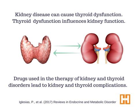 Thyroid Nodule On Tumblr