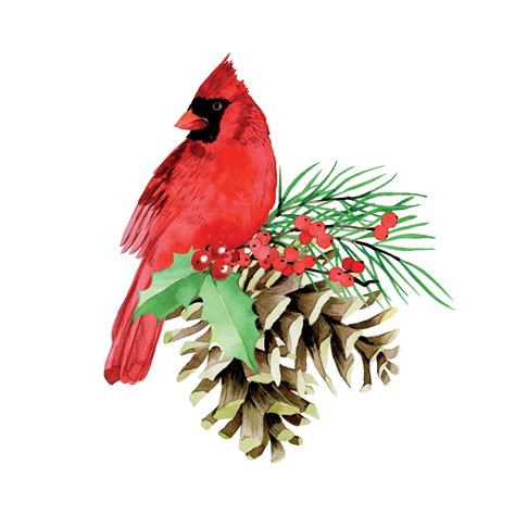 Watercolor Drawing Christmas Composition With Winter Red Bird Cardinal