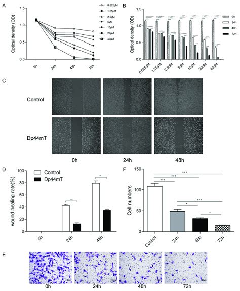 Dp Mt Inhibits Osteosarcoma Cell Proliferation Migration And