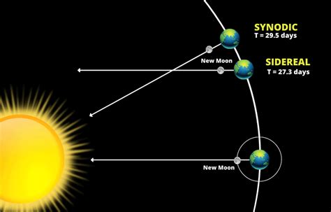 How Long Is A Lunar Cycle