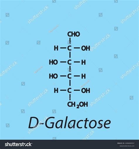 464 Glucose Galactose Molecule Images, Stock Photos & Vectors ...