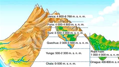 Conoce Las 8 Regiones Naturales Del Perгє En La Costa Sierra Y Selva