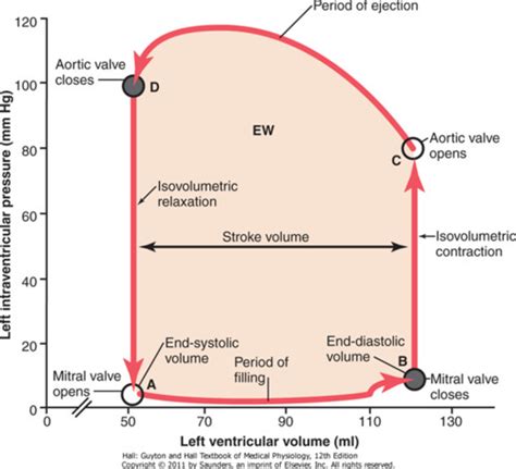 Pressure Volume Loop Of The Left Ventricle Flashcards Quizlet