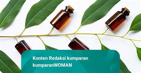 Diklaim Anti Corona Ini Manfaat Eucalyptus Untuk Kesehatan Kulit Dan