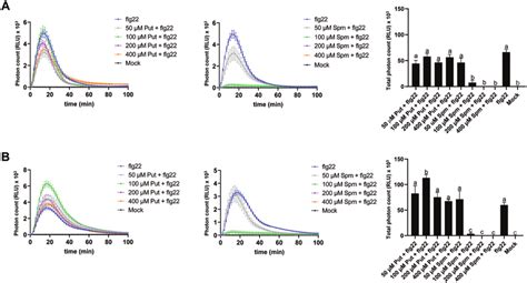 Effect Of Put And Spm On The Flg22 Elicited Ros Burst A Leaf Discs