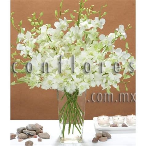 Arreglos Con Orqu Deas Dendrobium Archivos Florer A Conflores